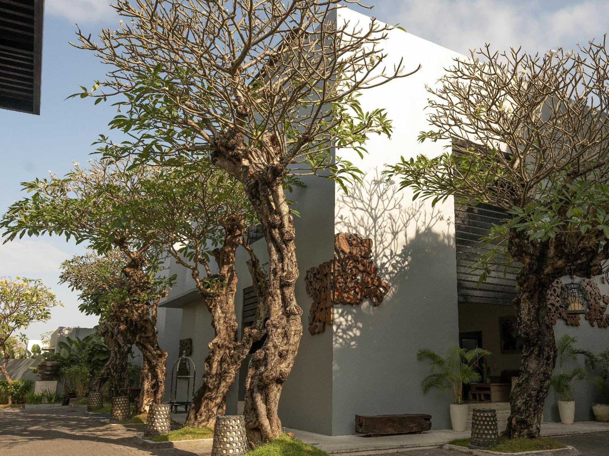The Seminyak Suite - Private Villa Eksteriør billede